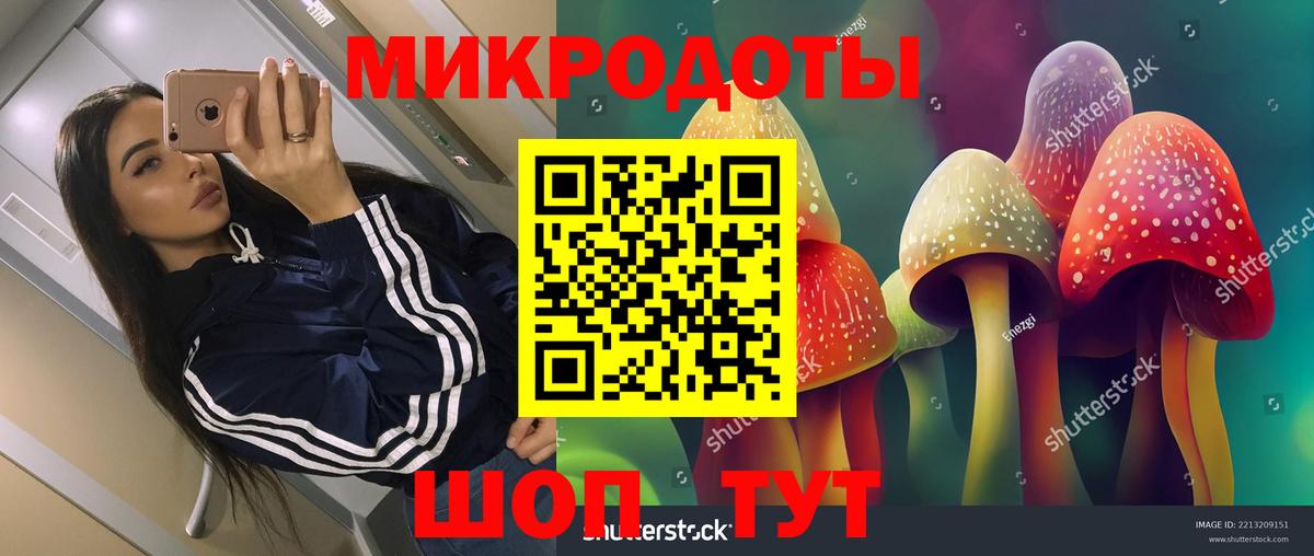 Псилоцибиновые грибы прущие грибы  Псилоцибиновые грибы прущие грибы  Иваново  Вход с VPN 